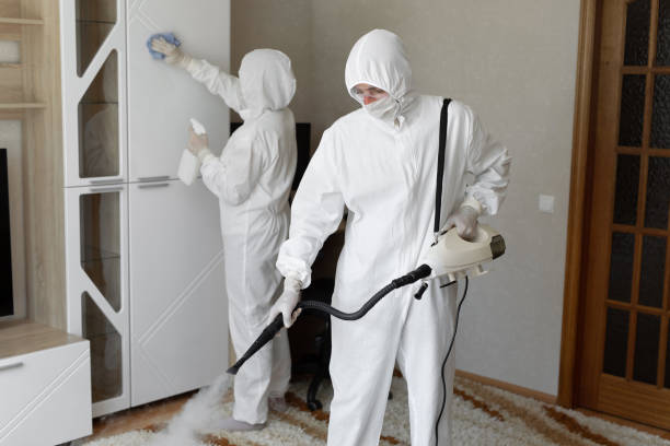 Best Mold Testing and Inspection Services in Woodstock, VA
